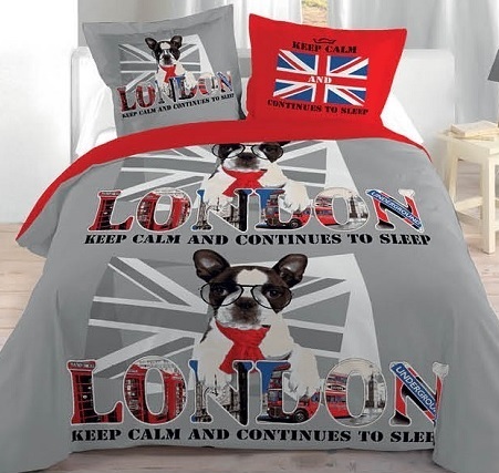 decoration-chambre-ado-style-london-dog-kolorados